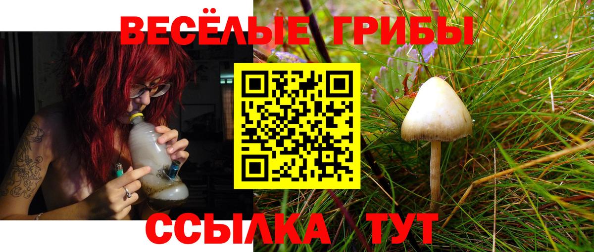 Псилоцибиновые грибы мухоморы Зеленодольск