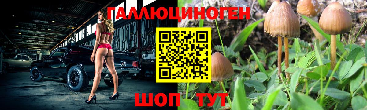 Зеленодольск  Галлюциногенные грибы MAGIC MUSHROOMS  дарнет шоп  Вход с VPN 